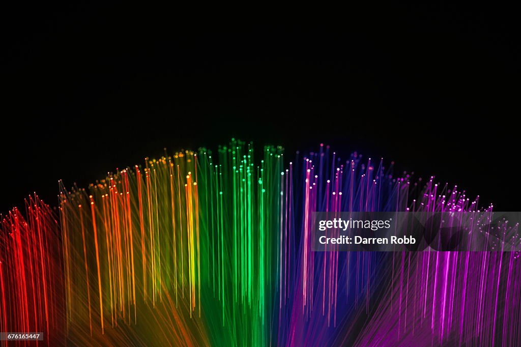 Fibre Optic Wires Illuminated in various colours
