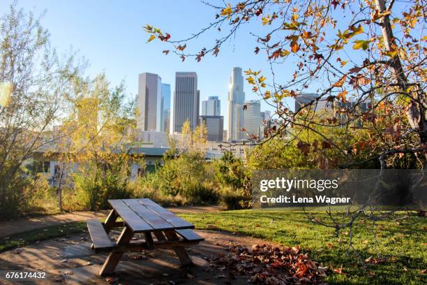 picnic table in park against downtown skyline - picnic table park stock pictures, royalty-free photos & images