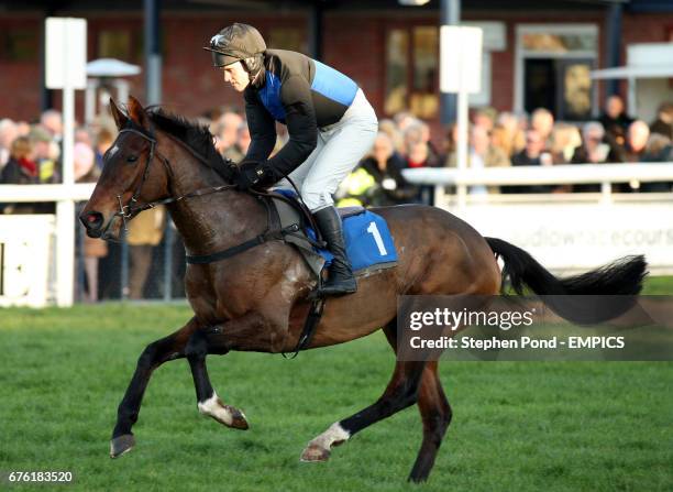 Jockey James Tudor on The Snail goes to post in the skukers.com Novices' Handicap Steeple Chase