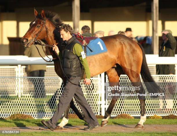 The Snail is paraded before the skukers.com Novices' Handicap Steeple Chase