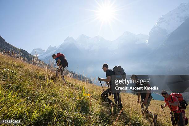 group of hikers ascend steep mountain slope, sun - groene korte broek stockfoto's en -beelden