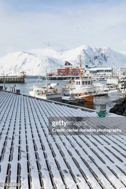 walkway in harbour at honningsvag - mageroya island stock pictures, royalty-free photos & images