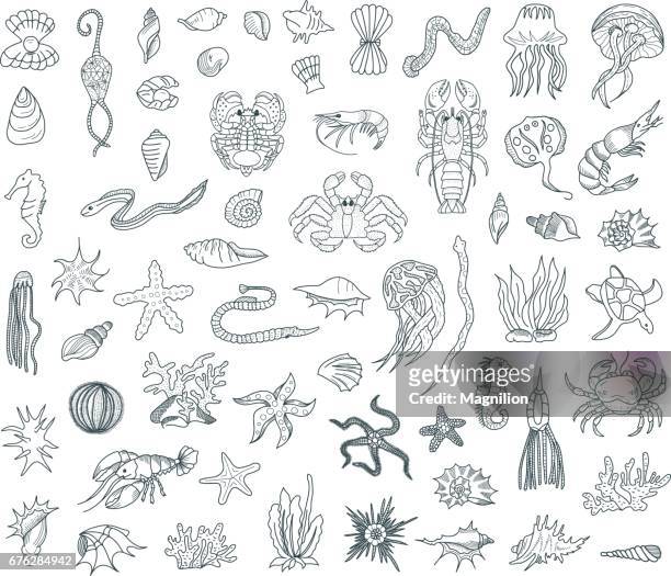 illustrazioni stock, clip art, cartoni animati e icone di tendenza di sea life doodles set - barriera corallina