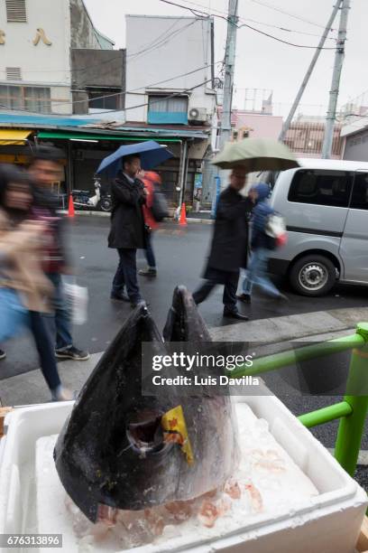 tsukiji outer market in tokyo. japan - tsukiji outer market stock pictures, royalty-free photos & images