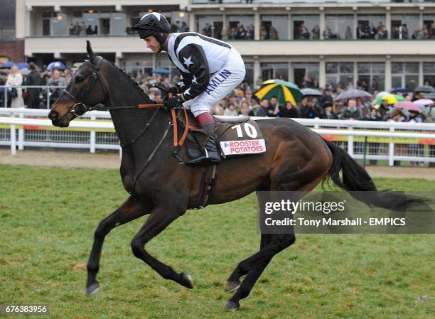 Possol ridden by Richard Johnson going to post for the Albert Bartlett Novices' Hurdle at Cheltenham