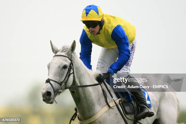 Go All Out ridden by Sean Quinlan during the David Marks 50th Birthday Handicap Hurdle