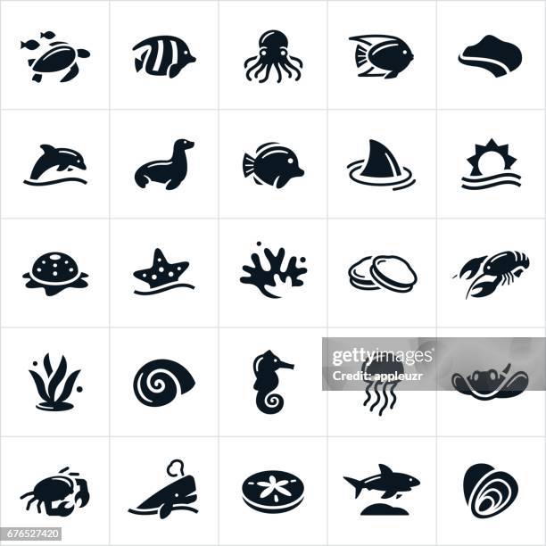 stockillustraties, clipart, cartoons en iconen met zee leven pictogrammen - schelpdier dier