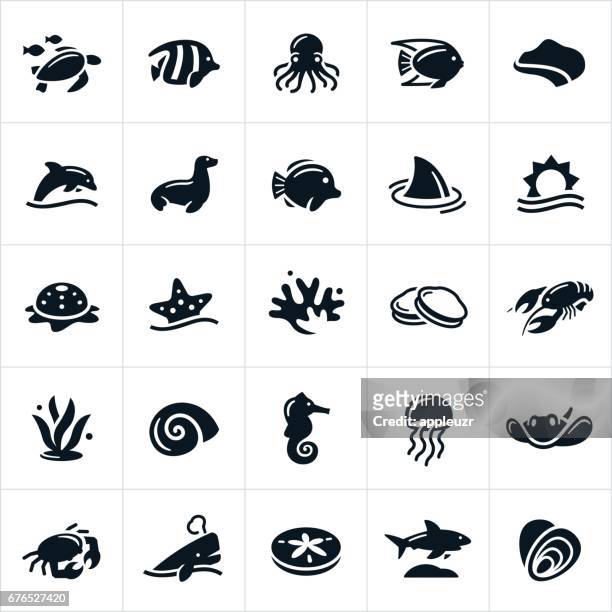 sea life icons - sea life stock illustrations