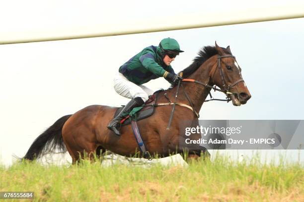 Saffron Spring ridden by Mark Quinlan during the Tony Merry And Friends At gg.com Maiden Hurdle