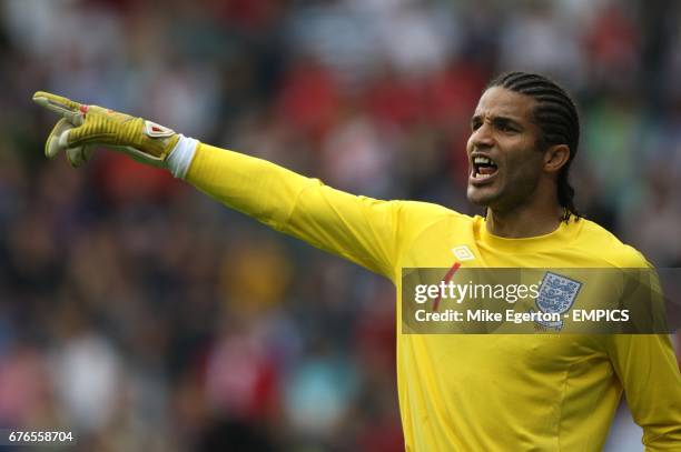 1,784 English Goalkeeper David James Stock Photos, High-Res Pictures