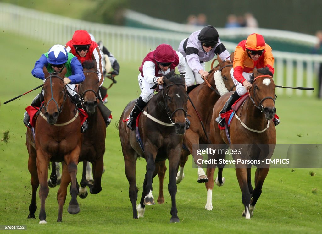 Horse Racing - Totepool Irish Day - Sandown Park Racecourse