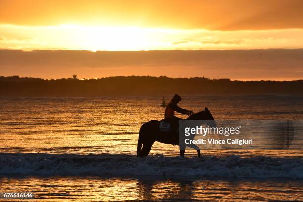 Horses from the Darren Weir stable are seen at Lady Bay beach during a trackwork session ahead of the Warrnambool Racing Carnival on May 3, 2017 in...