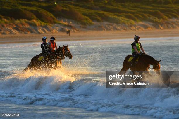 Horses are seen doing beach work at Lady Bay beach during a trackwork session ahead of the Warrnambool Racing Carnival on May 3, 2017 in Warrnambool,...