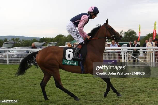 Blue Angel ridden by jockey Richard Hughes going to post prior to the Oak Tree Stakes during day four of the Glorious Goodwood Festival at Goodwood...