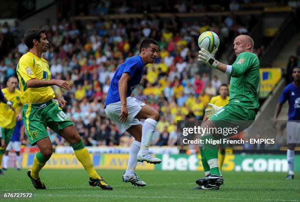 Tim Ruddy Now 51 Tim Ruddy Stock Photos, High-Res Pictures, and Images - Getty Images