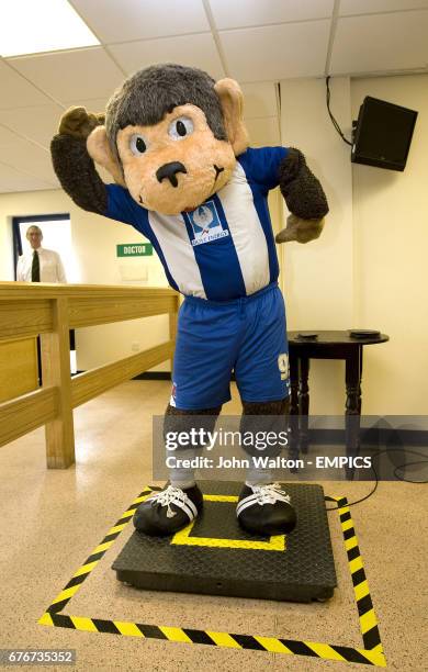 57 Hartlepool Monkey Stock Photos, High-Res Pictures, and Images ...