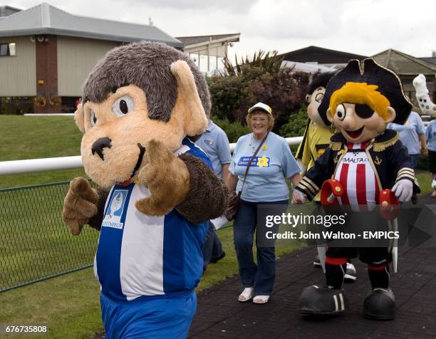 57 Hartlepool Monkey Stock Photos, High-Res Pictures, and Images ...