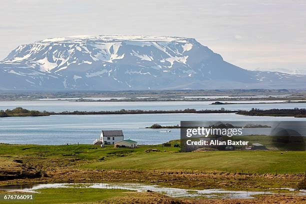 lake myvatn and volcano in iceland - akureyri stock-fotos und bilder