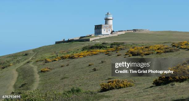 belle tout lighthouse near beachy head - lighthouse rolling landscape foto e immagini stock