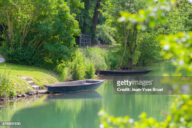 rowboats in marsh - poitou charentes imagens e fotografias de stock