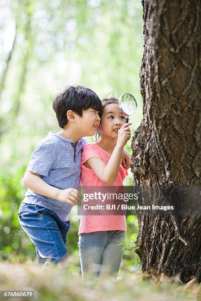 happy children playing in woods - girls wearing see through clothes fotografías e imágenes de stock