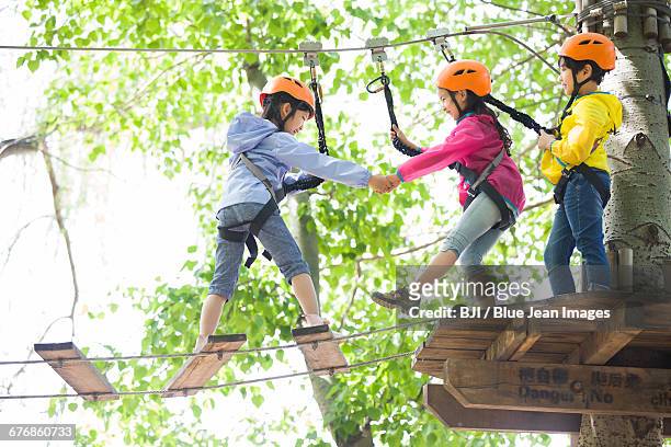 happy children playing in tree top adventure park - touwbrug stockfoto's en -beelden