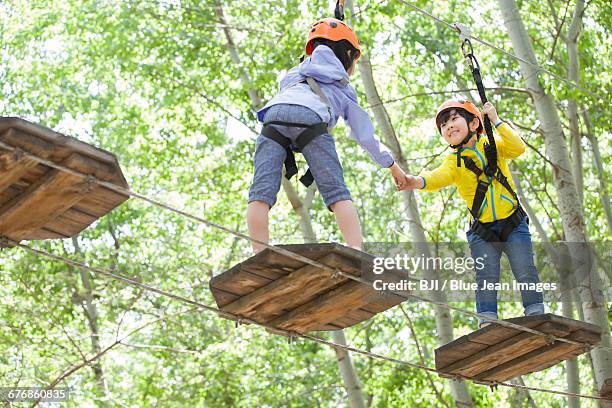 happy children playing in tree top adventure park - suspension bridge 個照片及圖片檔