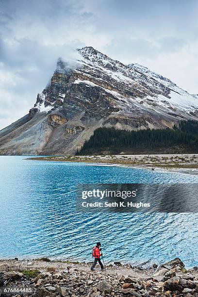 hiker hiking along bow lake, banff, alberta, canada - fluss bow river stock-fotos und bilder