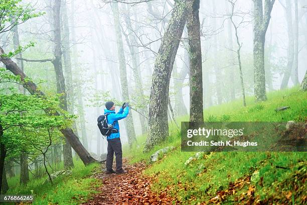 man taking photograph while hiking in shenandoah national park, virginia, usa - shenandoah national park stock pictures, royalty-free photos & images