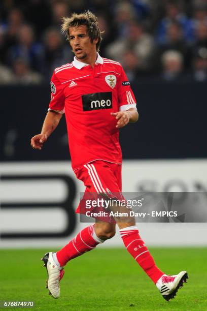 Fabio Coentrao, Benfica