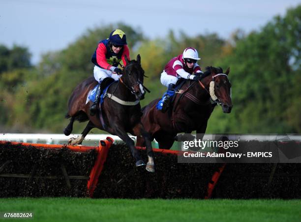 Iceman George ridden by Mr J.M.Quinlan jumps the 2nd last on his way to winning the TurfTV Novices' Hurdle Race