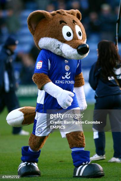 339 Filbert Fox Stock Photos, High-Res Pictures, and Images - Getty Images