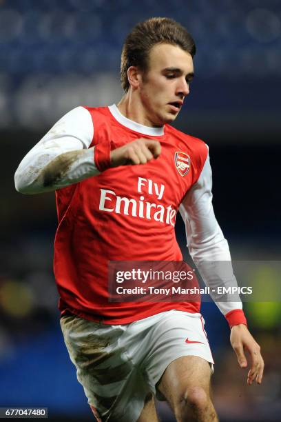 228 Tony Rees Stock Photos, High-Res Pictures, and Images - Getty Images