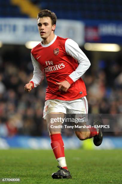 382 Josh Rees Stock Photos, High-Res Pictures, and Images - Getty Images