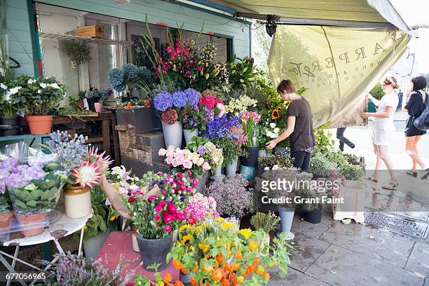 flower stand. - the 2016 notting hill carnival stock pictures, royalty-free photos & images