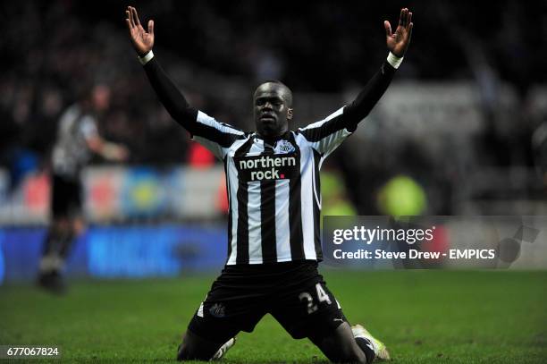 Newcastle United's Cheick Tiote celebrates after scoring thier fourth goal