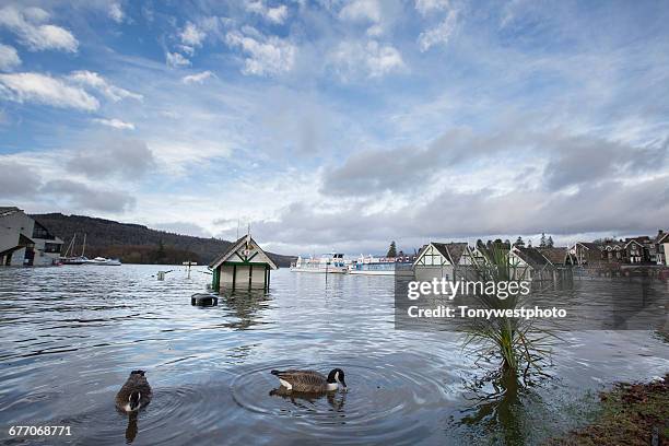 storm desmond floods cumbria in the uk - windermere stock pictures, royalty-free photos & images