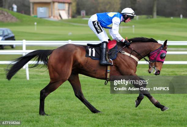 Padys Arkle ridden by Mark Quinlan going to post