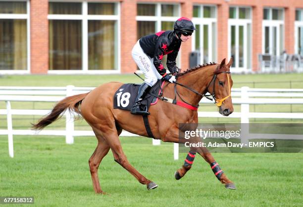 Ostentation ridden by Colin Bolger Mark Quinlan going to post