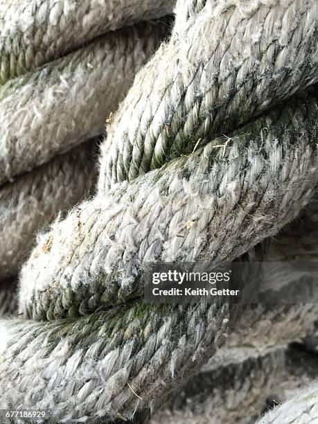 146 Rope Strands Stock Photos, High-Res Pictures, and Images - Getty Images