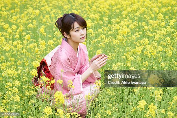 women's kimono sit in rape fields - akio iwanaga 個照片及圖片檔