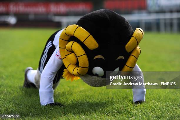 Rammy Mathopo 109 Rammy Stock Photos, High-Res Pictures, and Images - Getty Images