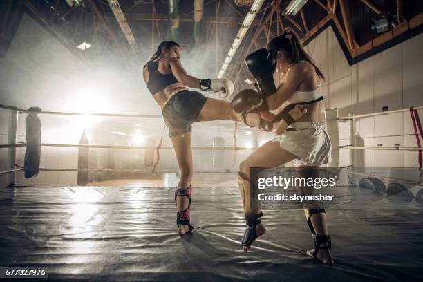 female boxers having a fight in the ring during sports training. - kickboxing training stock pictures, royalty-free photos & images