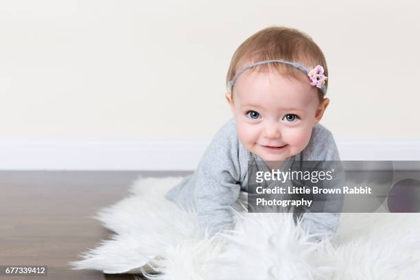 baby wearing grey in crawling position - baby girls stock pictures, royalty-free photos & images