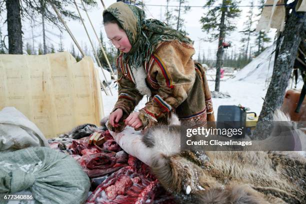 nenets woman with raw reindeer meat - nenets stock pictures, royalty-free photos & images