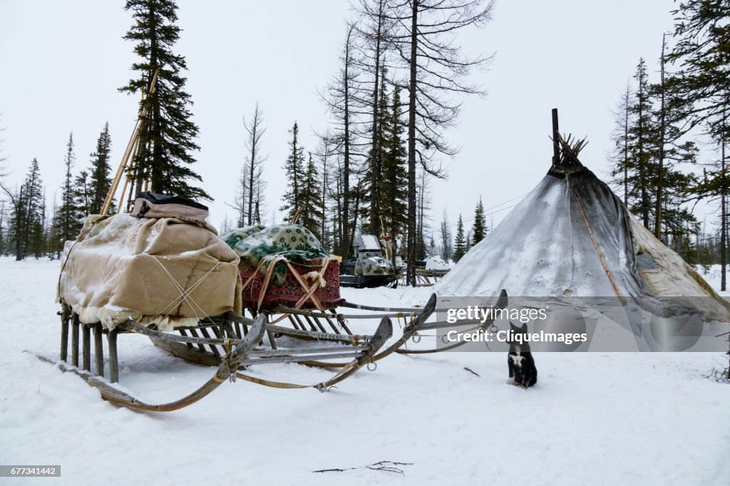 Camp of reindeer herders