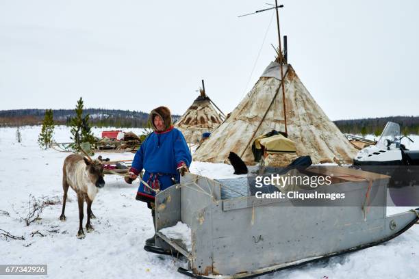 nomadic reindeer herder in camp - nenets stock pictures, royalty-free photos & images