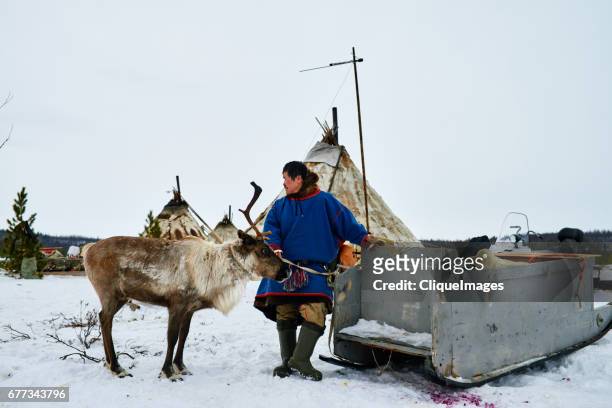 reindeer herder in northern siberia - nenets stock pictures, royalty-free photos & images