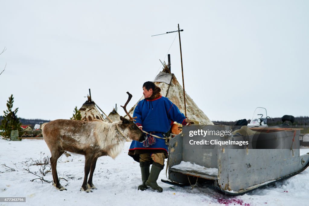 Reindeer herder in northern Siberia