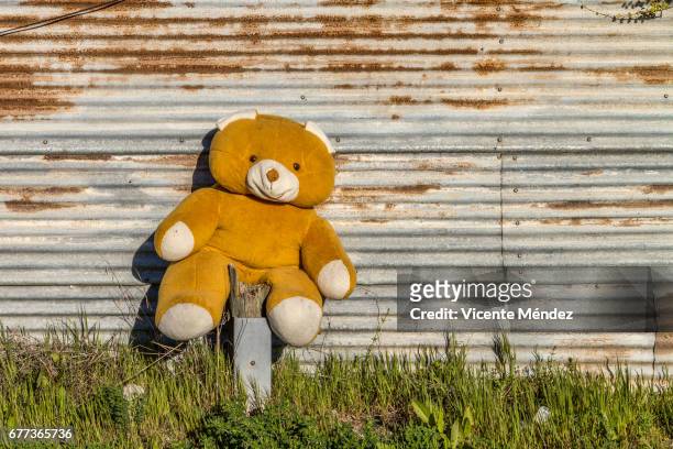 teddy bear abandoned - juguete stockfoto's en -beelden